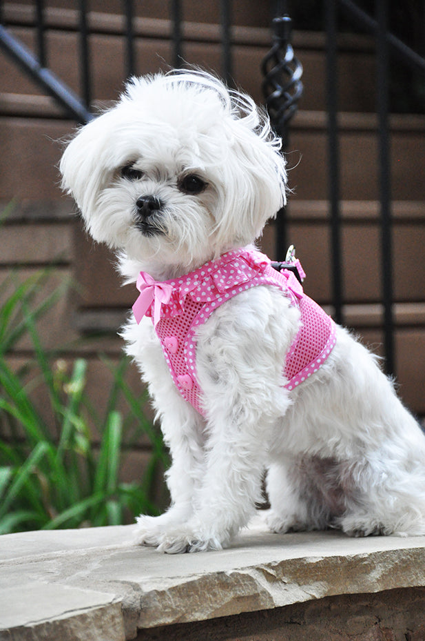 Polka Dot Ruffle American River Mesh Dog Harness