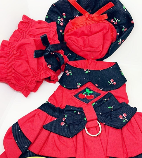 Cherry Red Dog Dress, 4 Piece Set