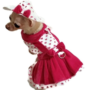 Lady Love Dog Dress, 4 Piece Set