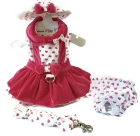 Lady Love Dog Dress, 4 Piece Set