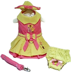 Little Chick Dog Dress, 4 Piece Set