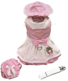 Happy Turtle Pink Dog Dress, 4 Piece Set